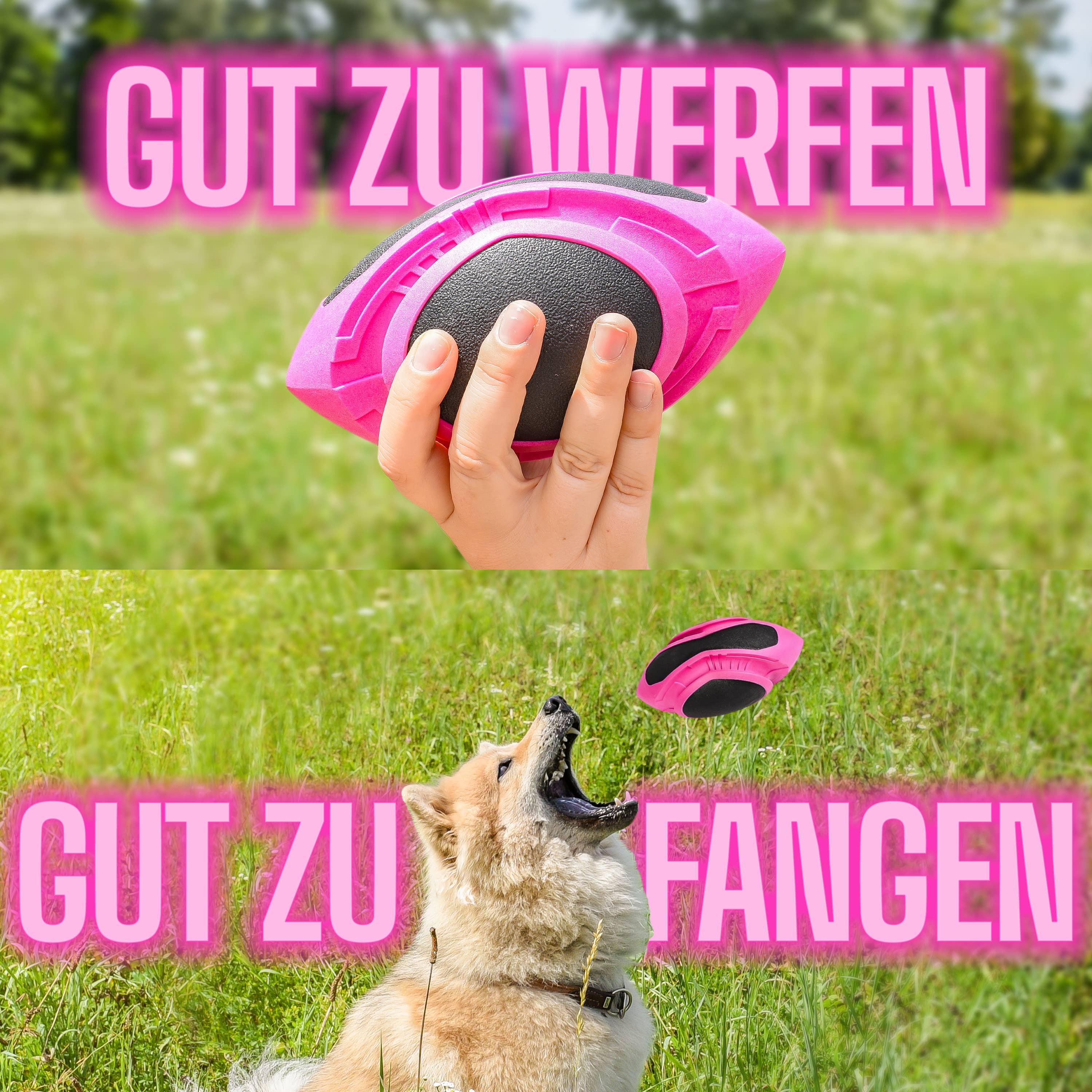 Flytende hundeball