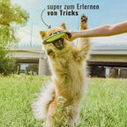 Flytende hundefrisbee
