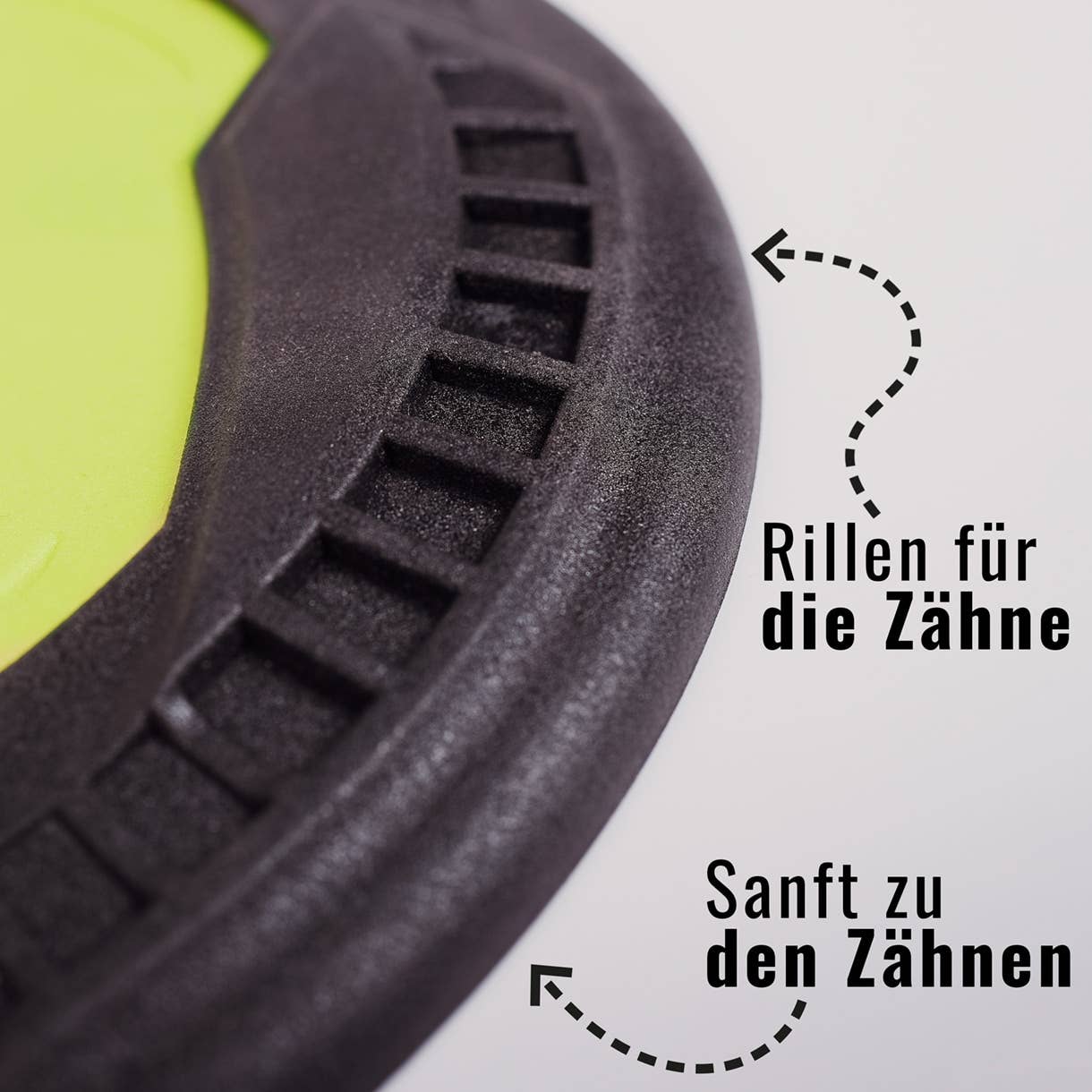 Flytende hundefrisbee