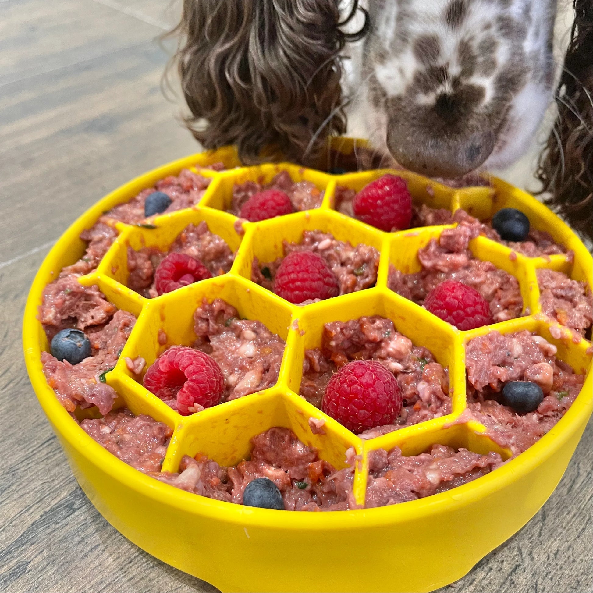 Sodapup Honeycomb Slow Feeder Dog Bowl for Enrichment