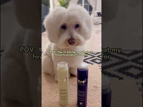 YUUP! PRO Whitening og brightening shampoo 250ml