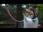 Trixie Flash Light LED-halsband