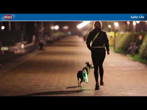 Trixie Flash Light LED-halsband